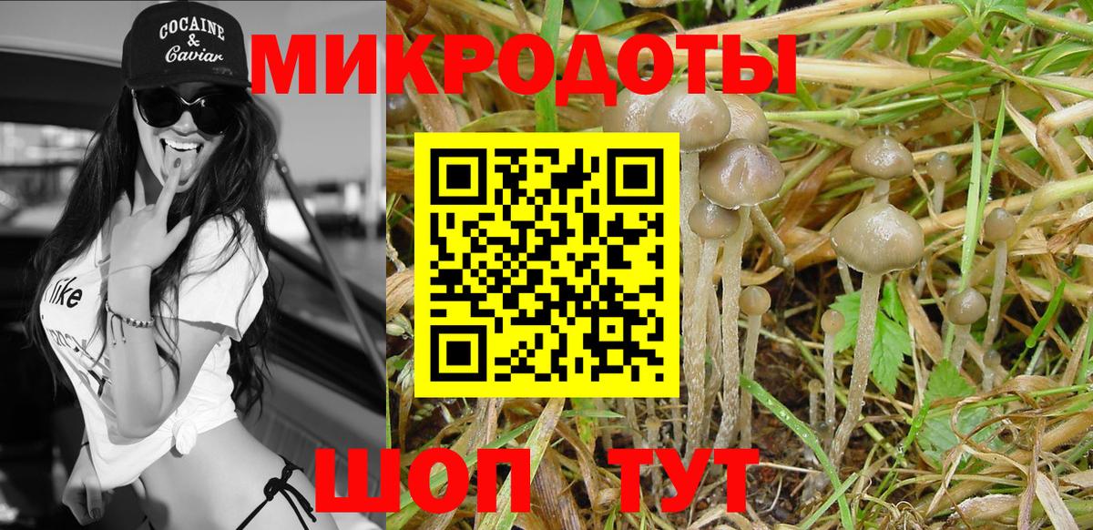 Будённовск  Галлюциногенные грибы GOLDEN TEACHER  Вход с VPN  Псилоцибиновые грибы Magic Shrooms 