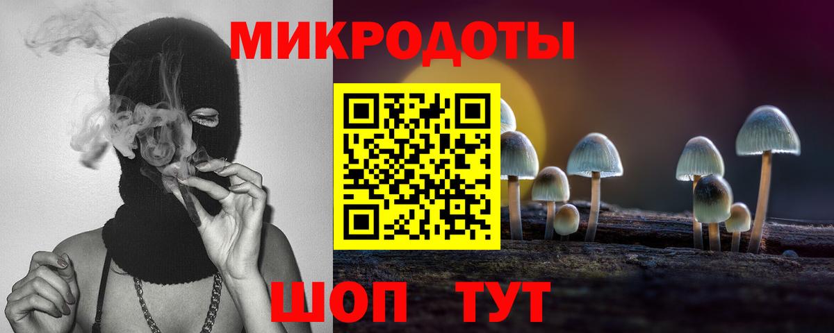Галлюциногенные грибы мухоморы Будённовск